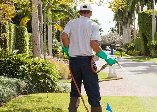 About Meyersdale PA Pest Control